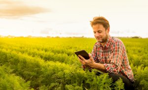 Agriculture connectée