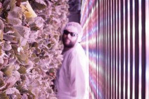 Agriculture urbaine : peur sur la campagne !