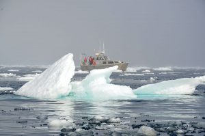 Economic and environmental impacts of Arctic shipping: A probabilistic approach