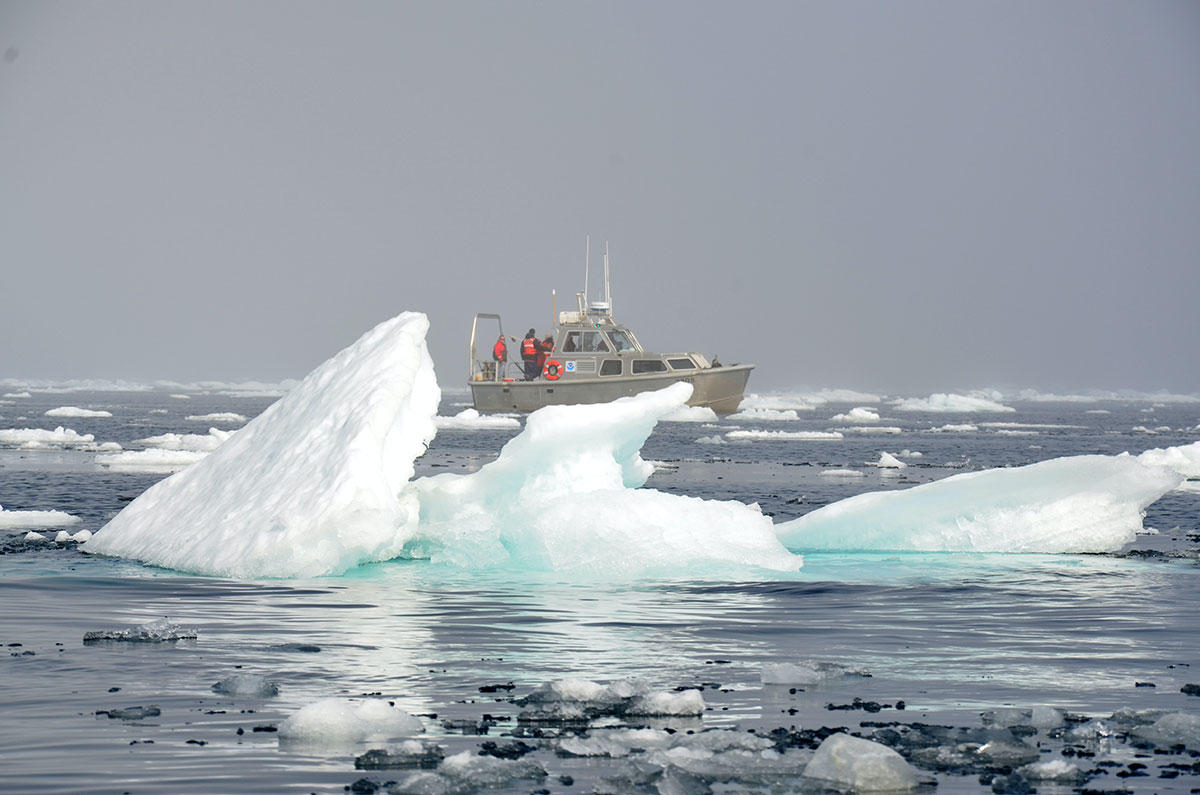 Photo : Economic and environmental impacts of Arctic shipping: A probabilistic approach