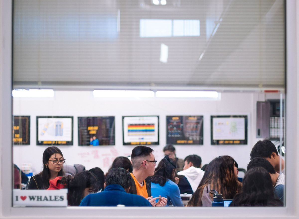 Photo : Enjeux de l’accueil des étudiants étrangers sur les campus universitaires