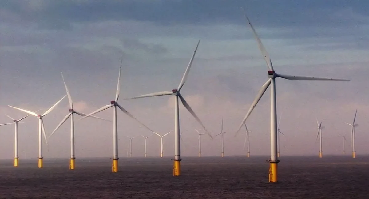 Photo : TotalEnergies face à l’administration Trump : quand l’abandon de l’éolien offshore devient une monnaie d’échange