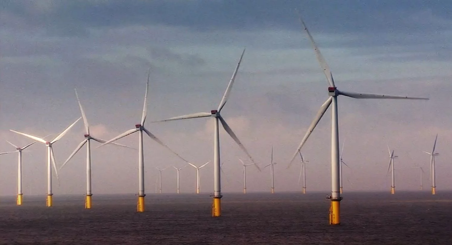 Photo : TotalEnergies face à l’administration Trump : quand l’abandon de l’éolien offshore devient une monnaie d’échange